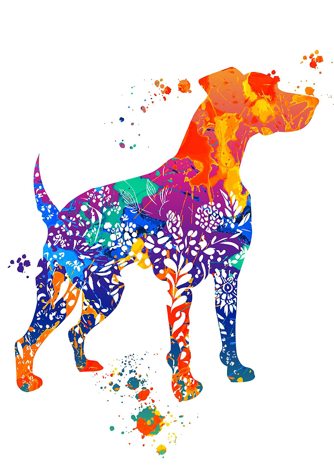 Dogo