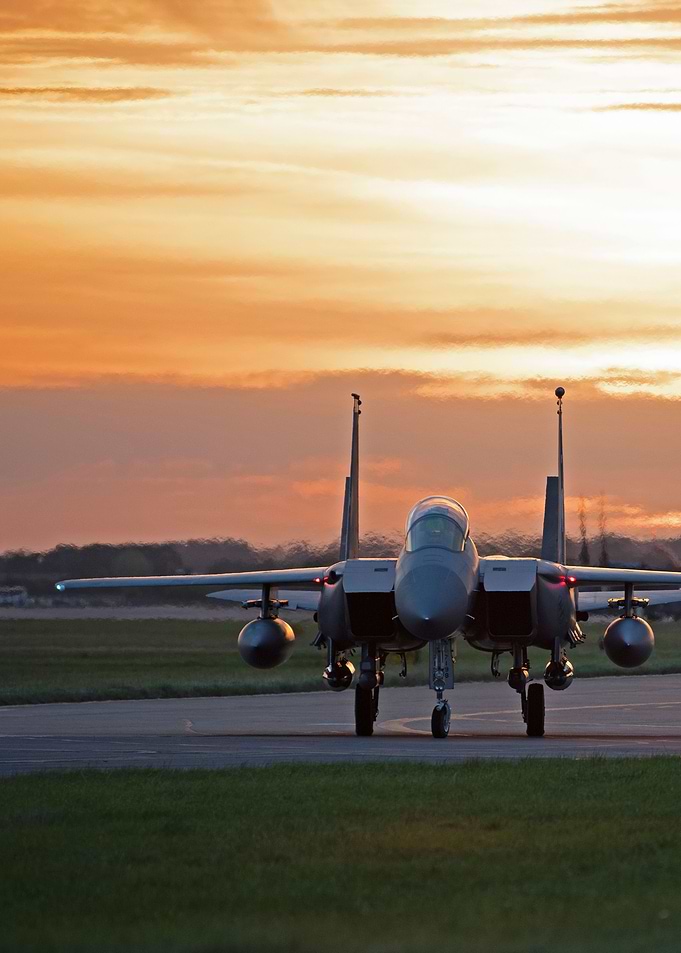 Eagle sunset