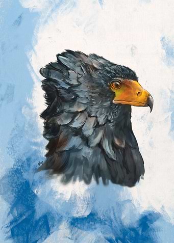 Bateleur African Eagle