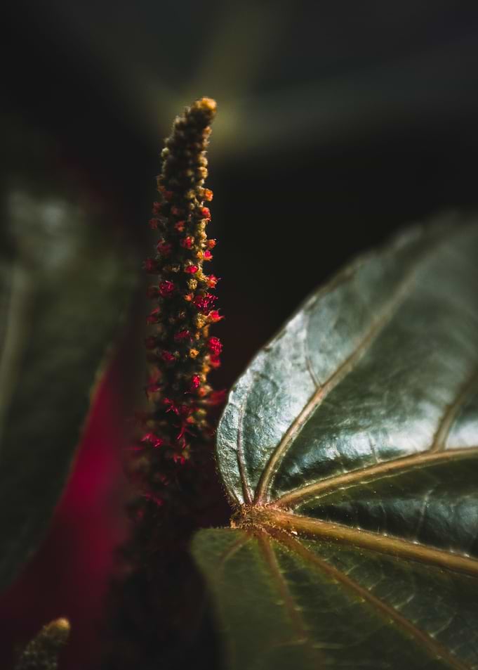 something red