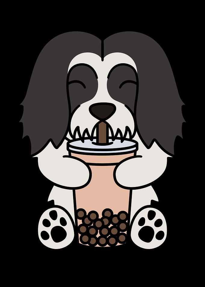 Lhasa Apso Bubble Tea