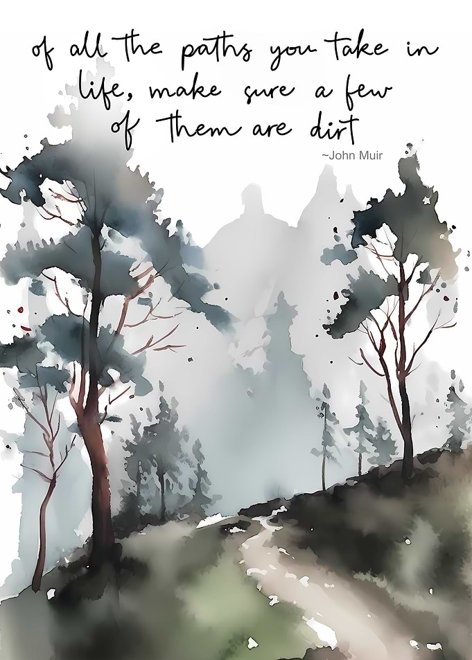 Life Quote Paths We Take