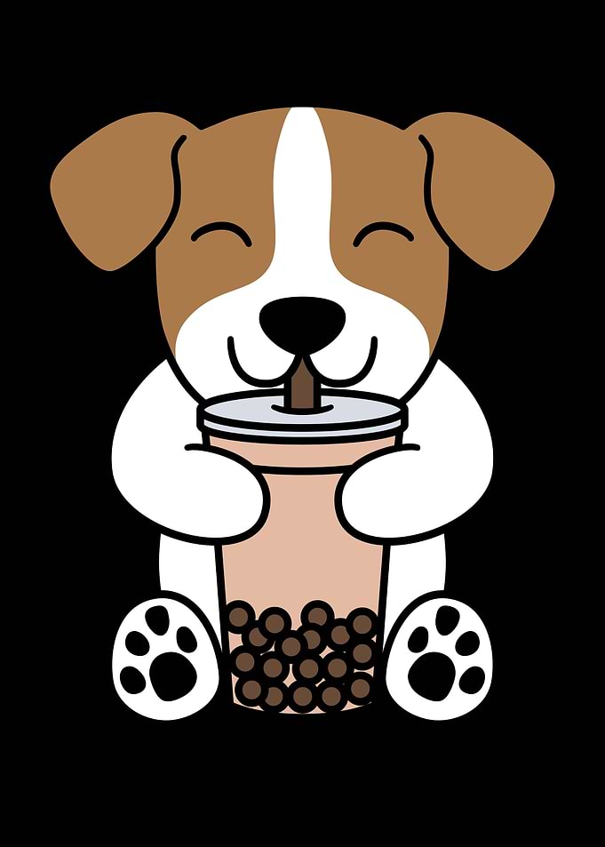 Jack Russell Terrier Boba