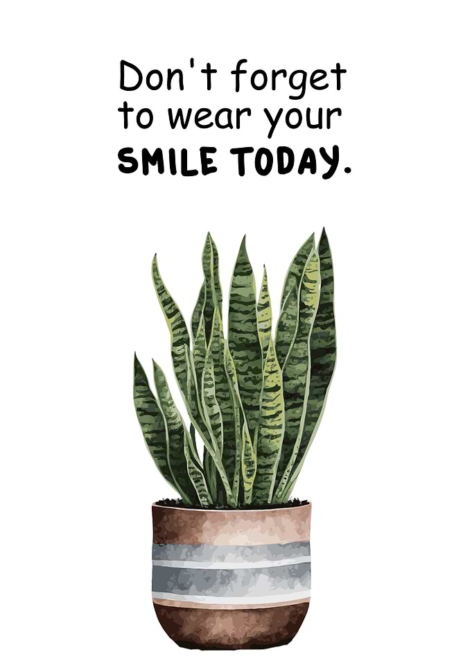 Smile Today Affirmation