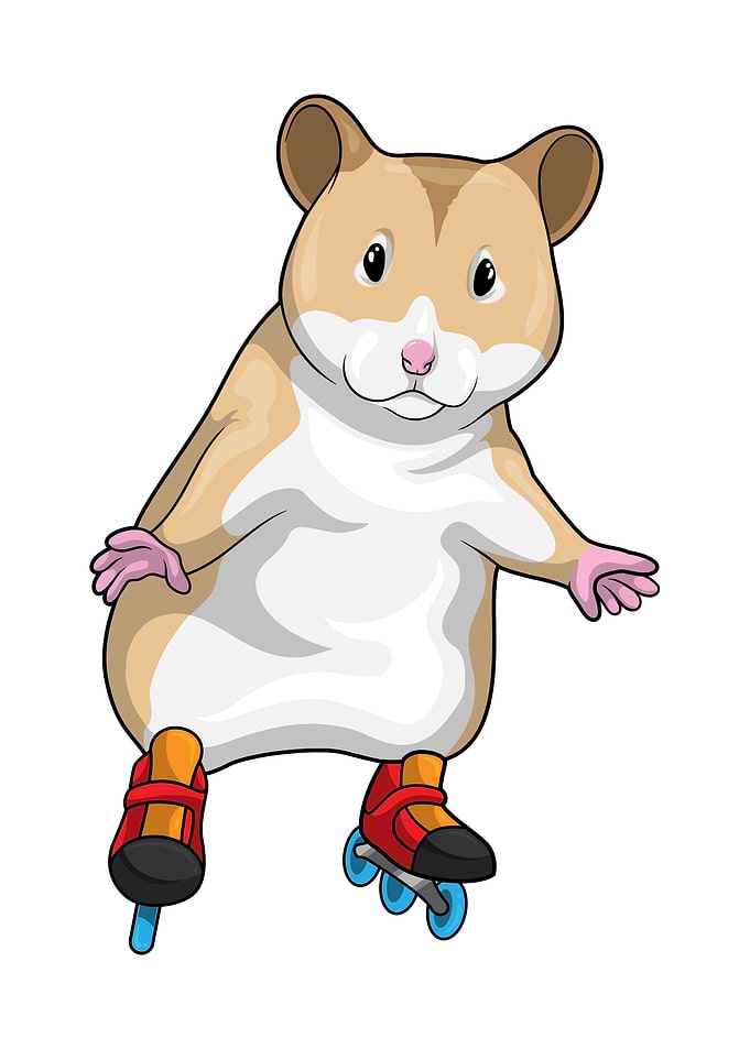 Hamster Inline skating