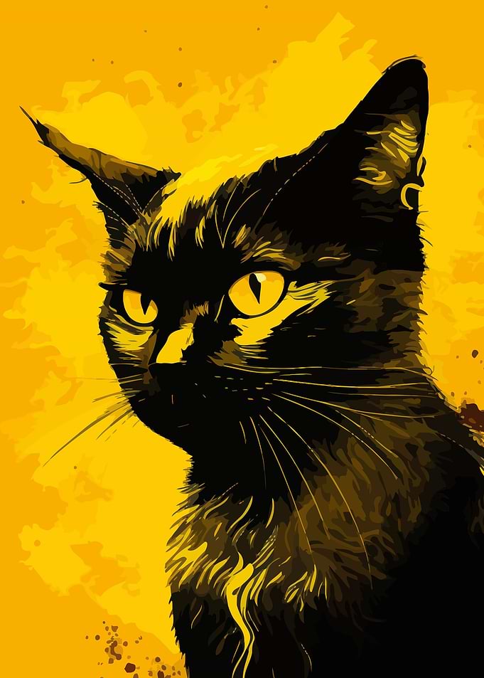 Black Cat