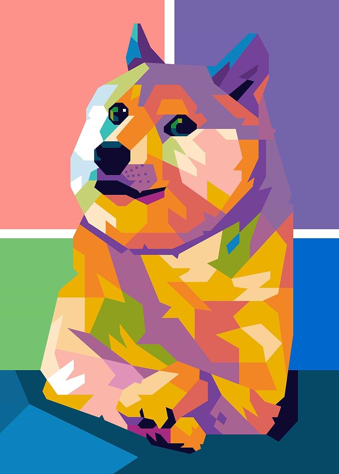 Doge Cat Meme