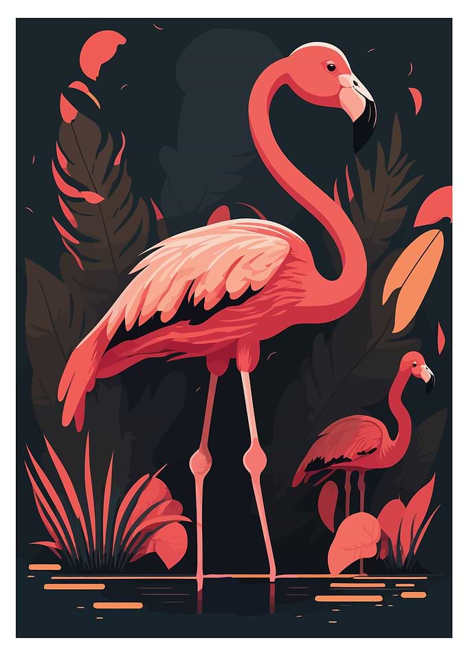 Cute Flamingo