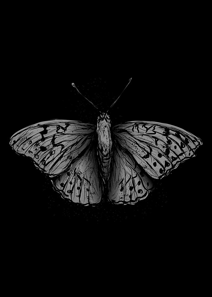 Butterfly Black and White