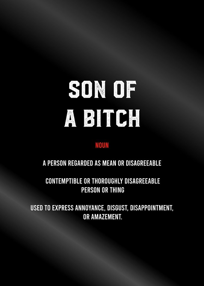 son of bitch definition