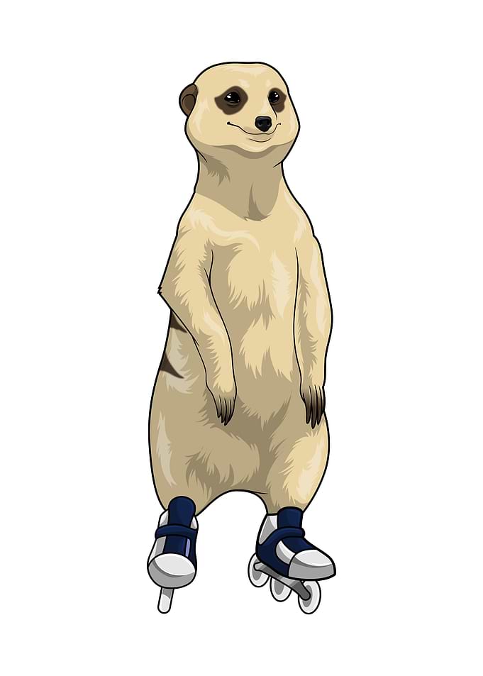 Meerkat Inline skating