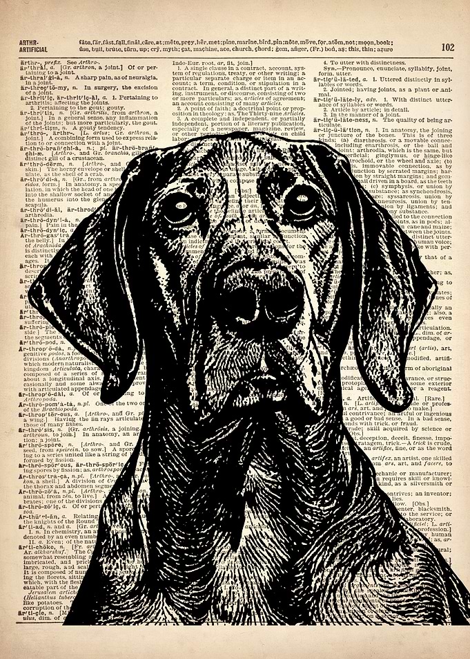 DOG ILLUSTRATION