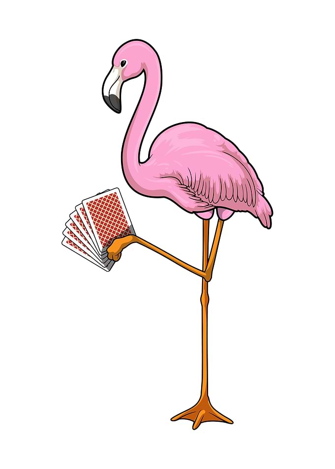 Flamingo Poker Card game