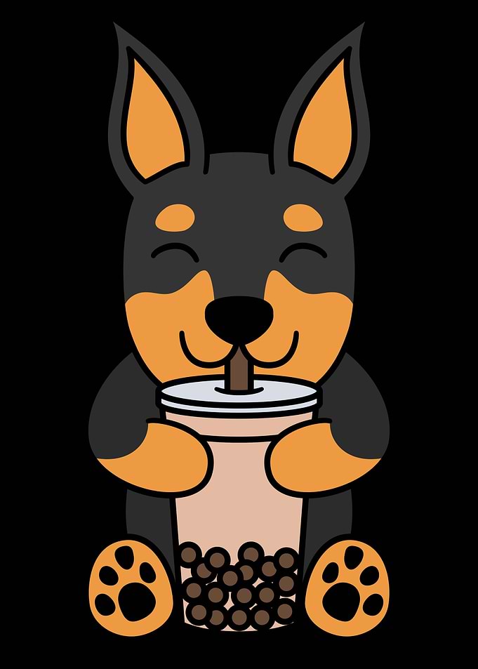 Miniature Pinscher Boba