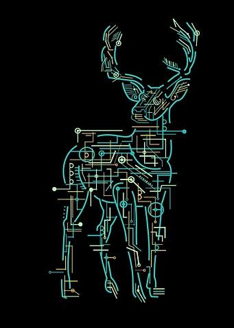 animal