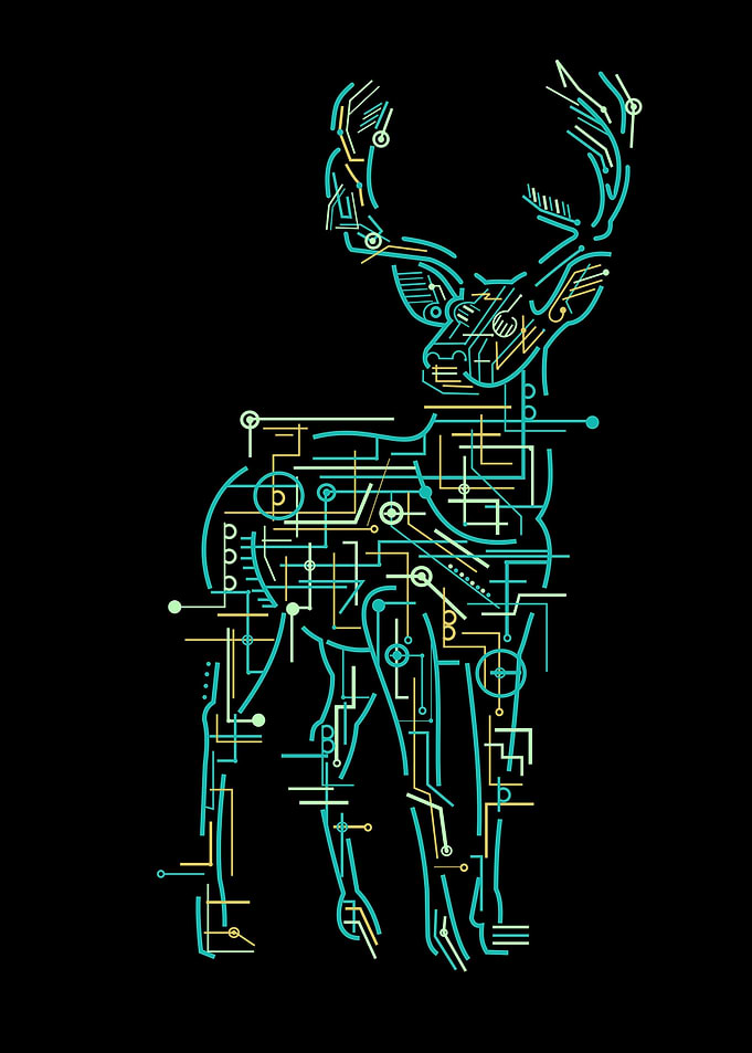 animal