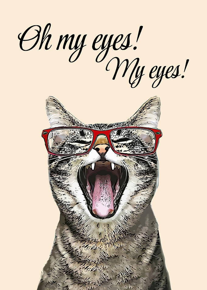 Cat Oh my eyes My eyes