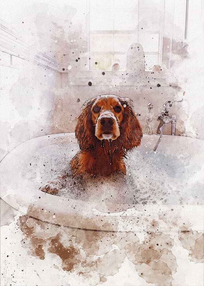Funny Dog Bathroom