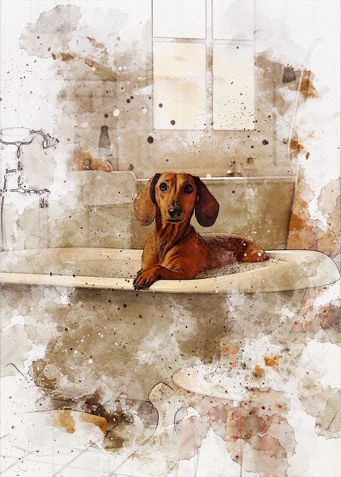 Funny Dog Bathroom