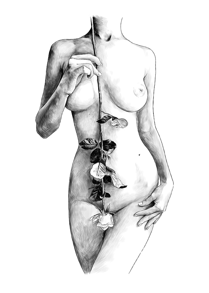 Naked Girl Body with Rose