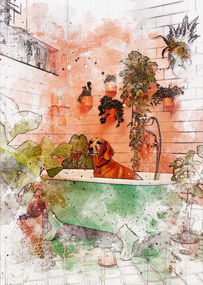 Funny Dog Bathroom