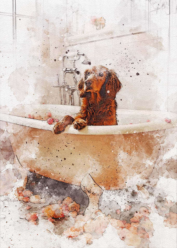 Funny Dog Bathroom