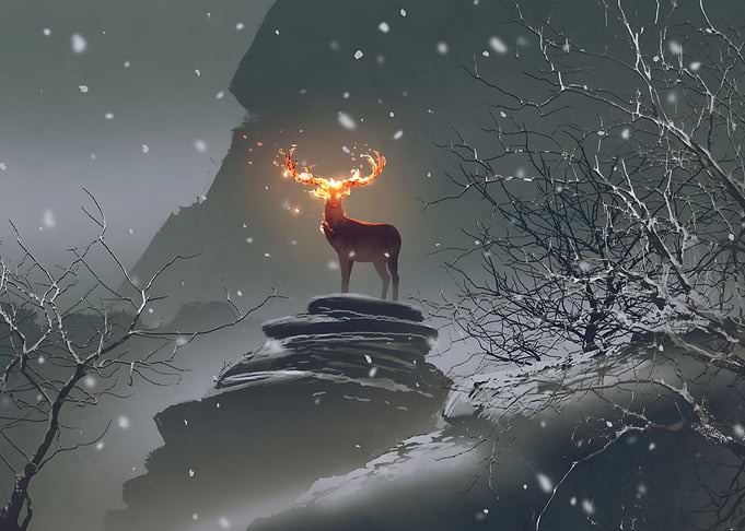 winter