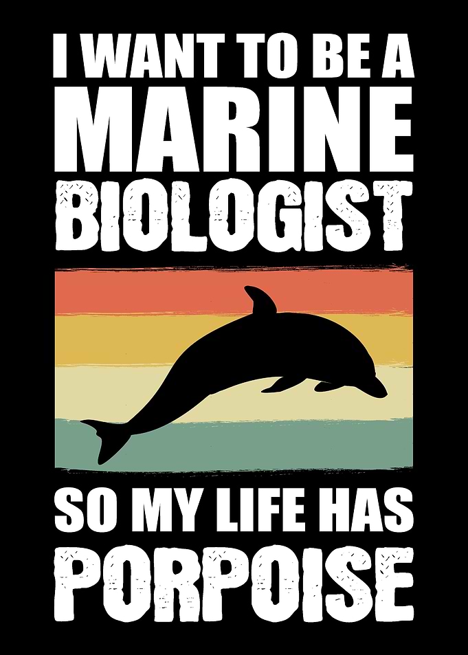 Life has Porpoise Marine B