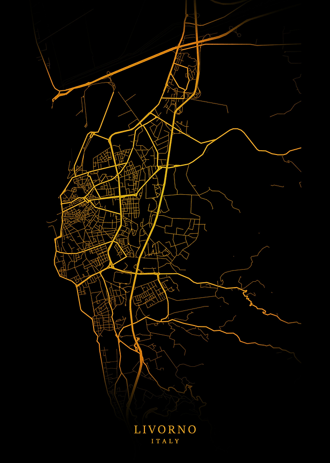 Livorno City Map Gold