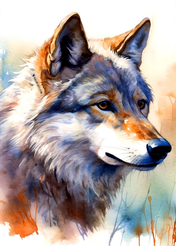Wolf