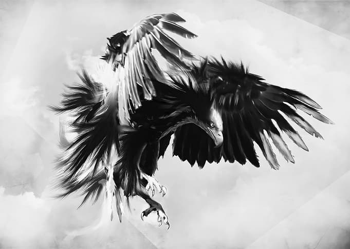 animal