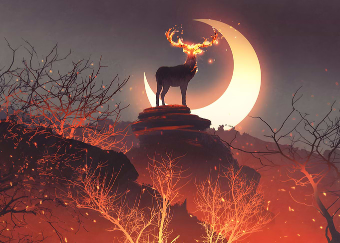 forest fire