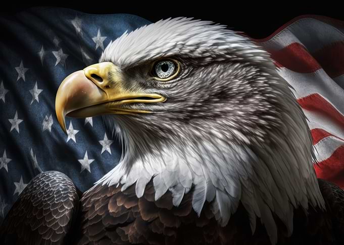 American eagle on USA flag