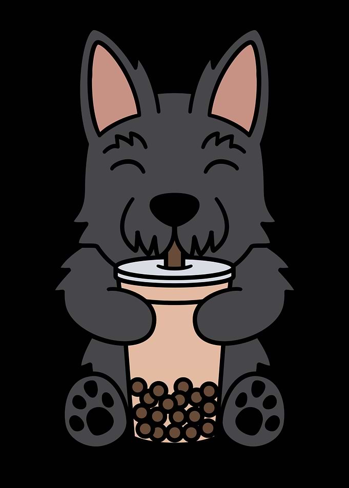 Scottish Terrier Boba