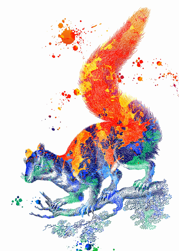 Squirrel