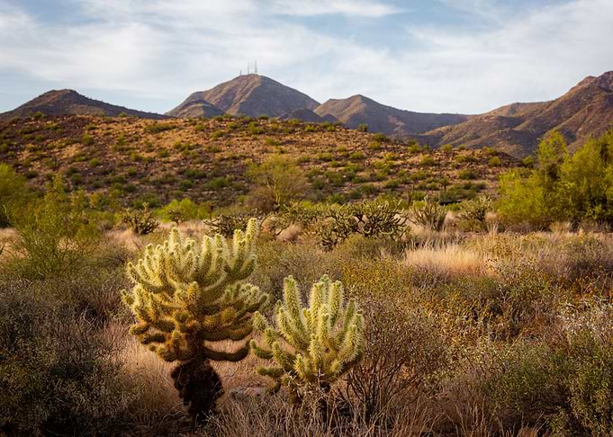 the great nature desert