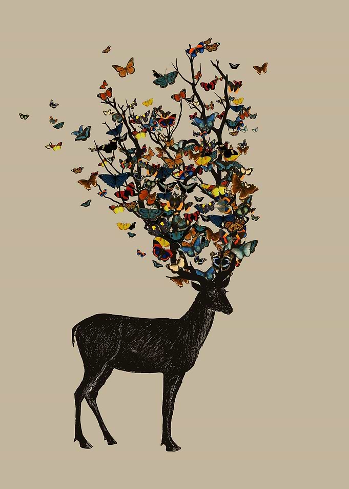 wild nature