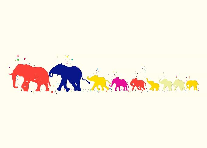 Elephant Family Mom Dad