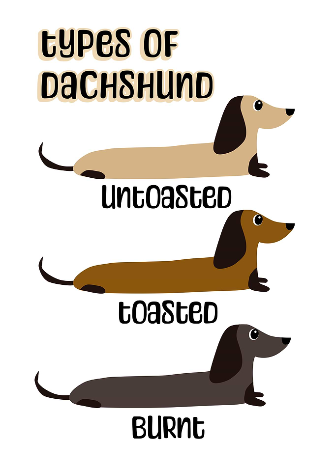Types of Dachshund Dog
