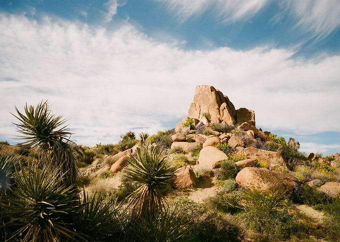 the great nature desert