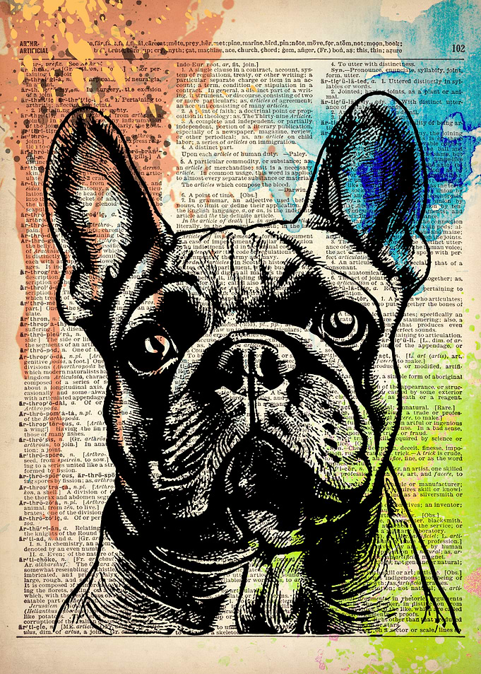 French Bulldog dog art