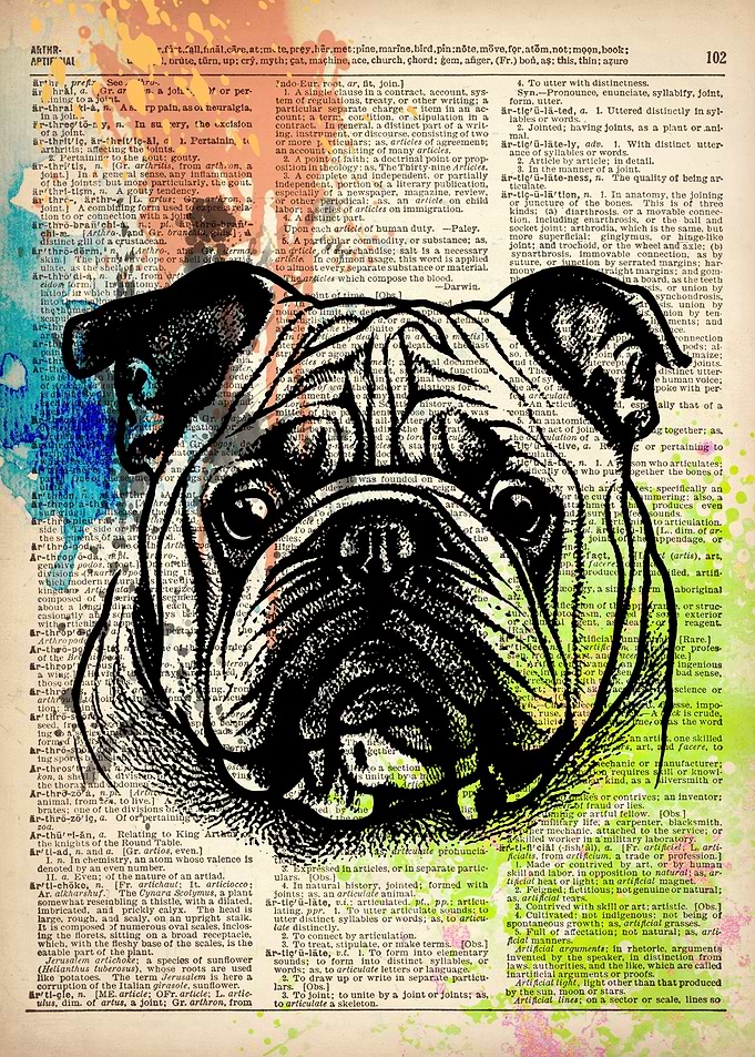 American Pit Bull dog art