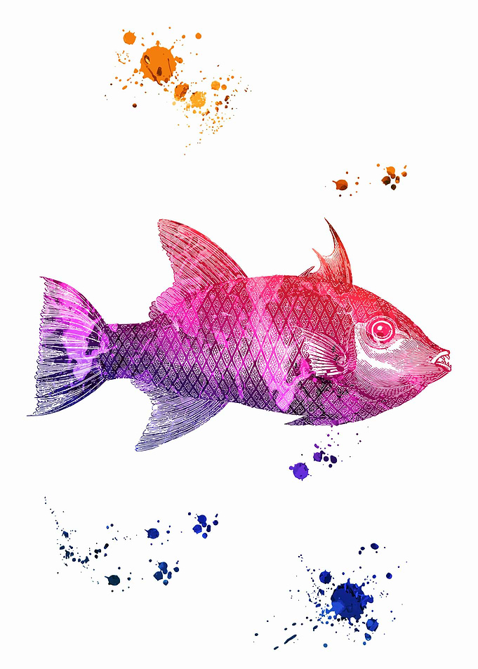 Tropical fish
