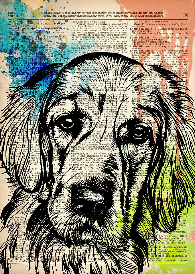 Golden Retriever dog art