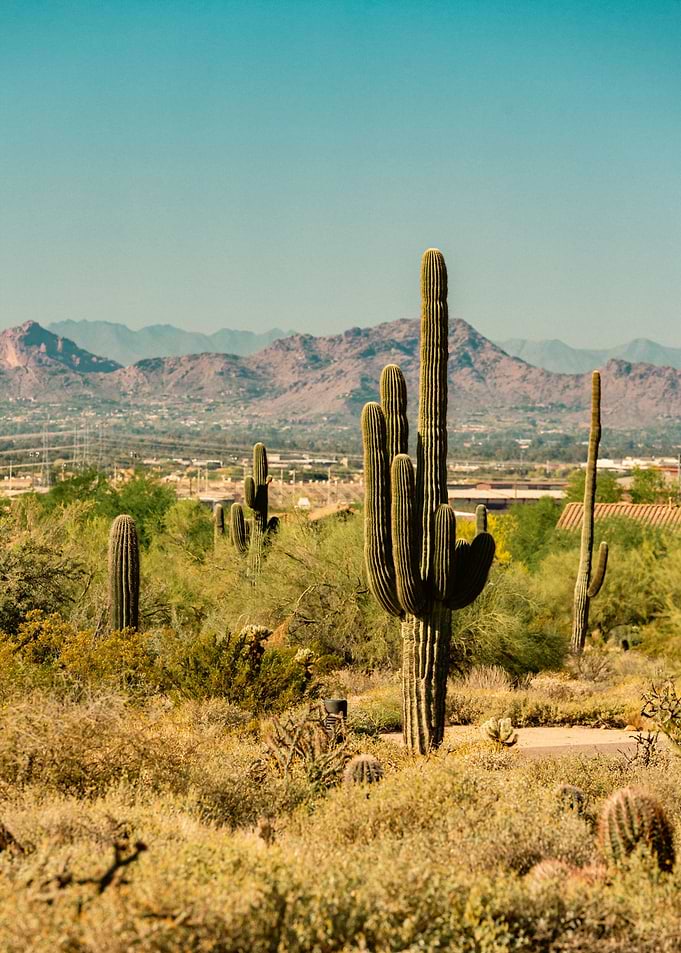 the great nature desert