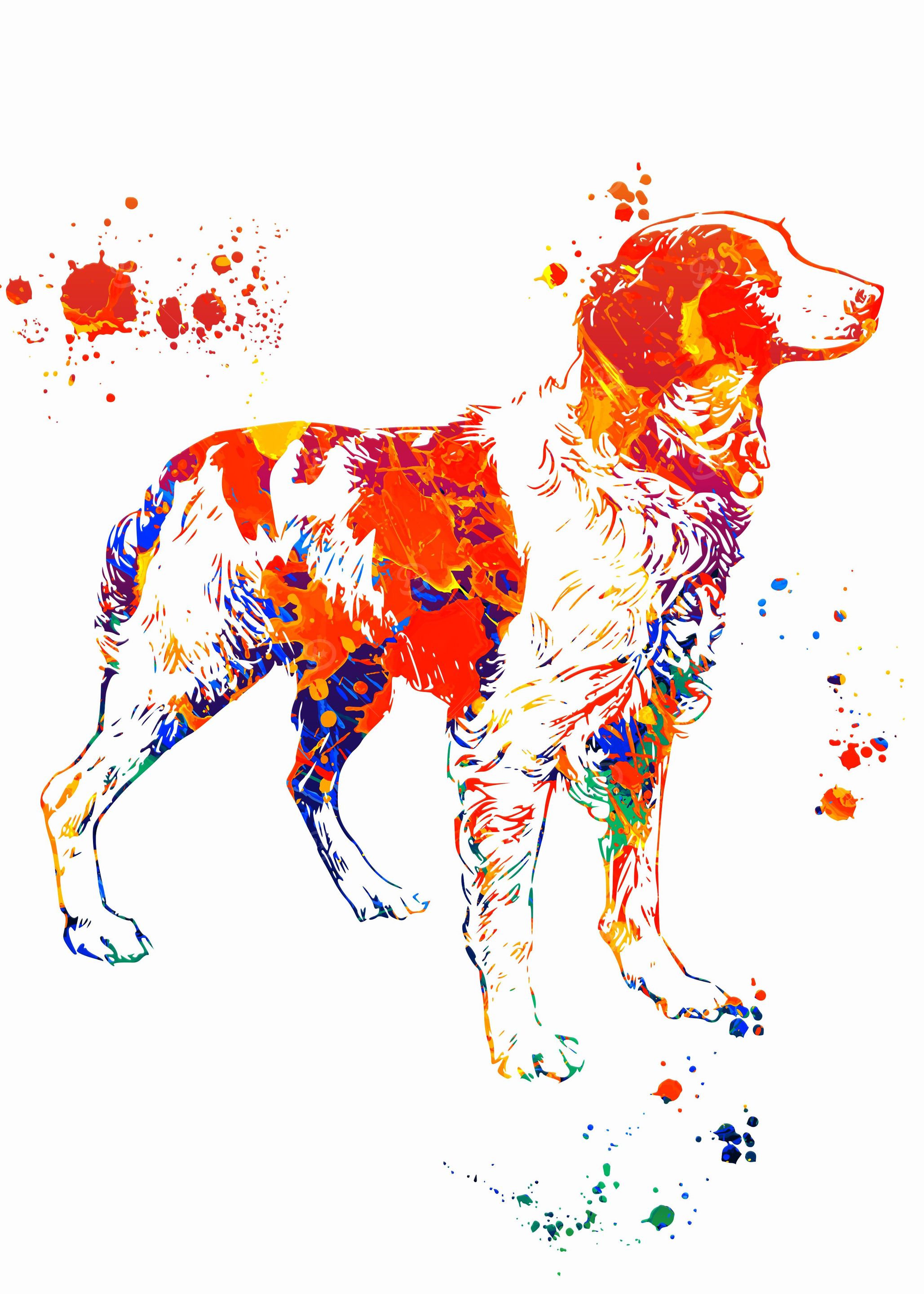 Spaniel