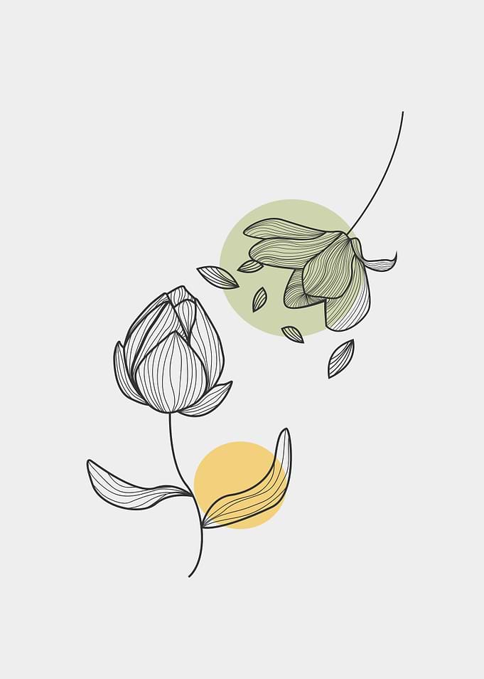 beautiful flower