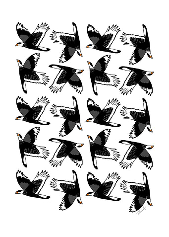 Birds Of Prey