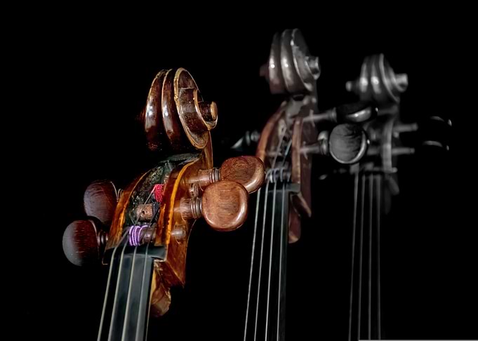 musical instrument cello