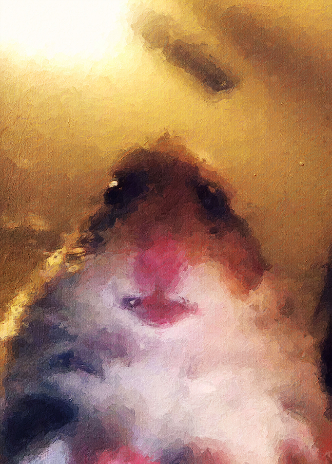 Hamster Meme